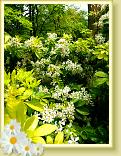 StValery_LLA_14.05.2015 (30)